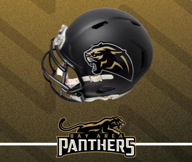 Bay Area Panthers Riddell Black Mini Helmet