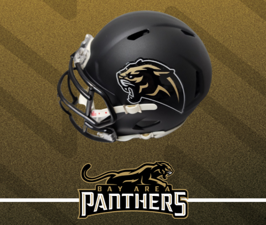 Bay Area Panthers Riddell Black Mini Helmet
